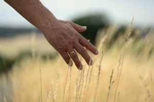 指の節を目立たなくする方法が知りたい 太い指の関節を細くする方法 手がカサカサで枯れ木みたい 手だけババア克服バイブル 指の節を目立たなくする方法が知りたい 太い指の関節を細くする方法 手がカサカサで枯れ木みたい 手だけババア克服バイブル